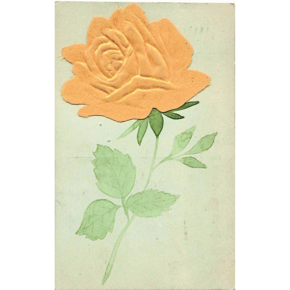 Antique Postcard Embossed Silk Yellow Rose Flower Novelty Hazleton PA 1907